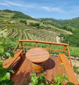 Wine tasting tours in vipava valley and karst