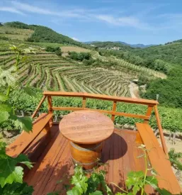 Wine tasting tours in vipava valley and karst
