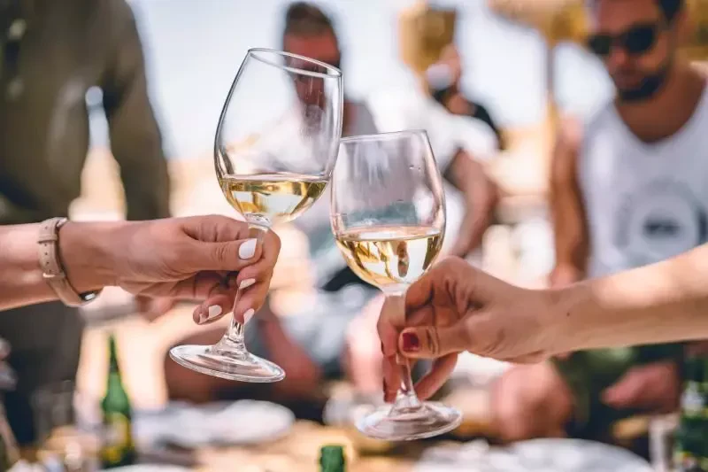Wine tasting tours in Vipava Valley and Karst