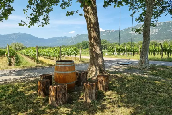 Affordable wine tasting tours in Vipava Valley