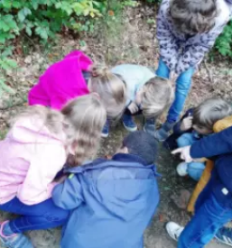 Zabavno animatorstvo maribor