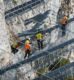Zascita brezin pred padajocim kamenjem slovenija