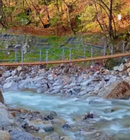 Zascita brezin pred padajocim kamenjem slovenija