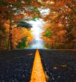 Ciscenje cest in zarascenih povrsin novo mesto okolica dolenjska