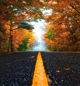 Ciscenje cest in zarascenih povrsin novo mesto okolica dolenjska