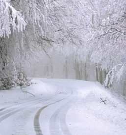 Ciscenje cest in zarascenih povrsin novo mesto okolica dolenjska