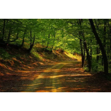 Kmetijstvo in ostale storitve Andrej Ogulin s.p.