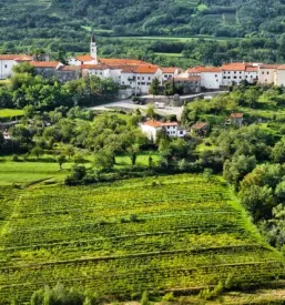 E bike rental vipava goriska
