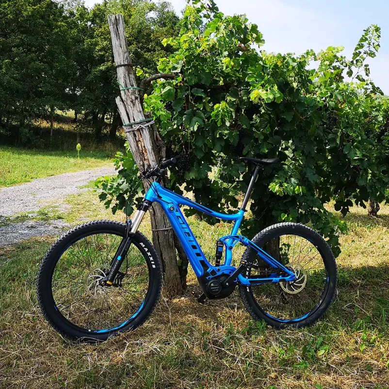 E-bike rental Vipava, Goriška