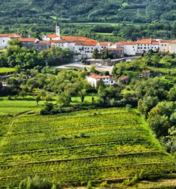Izposoja e koles vipava Goriška