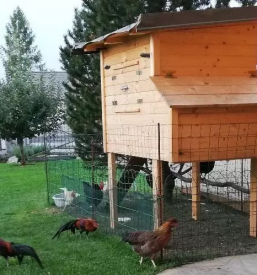 Unikatna lesena darila Slovenija