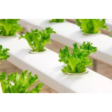 Razvojni zavod Srečko Lončarič