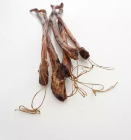 Ugodna prodaja za male zivali osrednja slovenija