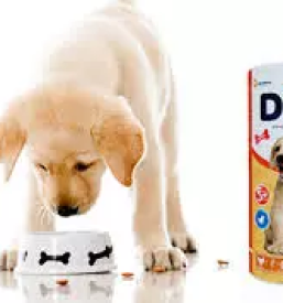 Ugodna prodaja za male zivali osrednja slovenija