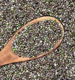 Cbd prehranska dopolnila slovenija