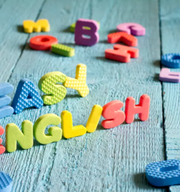 Instrukcije anglescine dolenjska