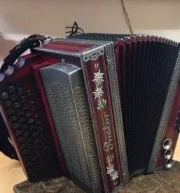 Popravilo harmonik Gorenjska