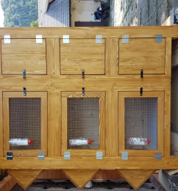 Izdelava kokošnjakov po naročilu Slovenija