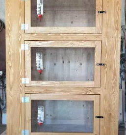 Zajčniki po naročilu