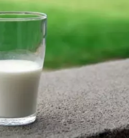 Kvalitetni mlecni izdelki ljubljana