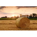 POPRAVILA KMETIJSKIH IN GOZDARSKIH STROJEV, DRAGIŠA BUKOVICA S.P.