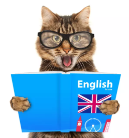 Predsolski tecaji anglescine in slovenscine dolenjska