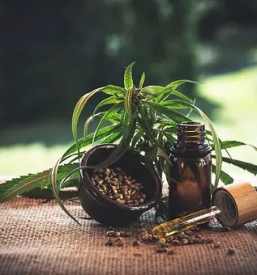 Prodaja cbd prehranskih dopolnil slovenija