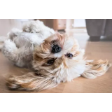 PLUTON, DINA SKERLOVNIK S.P.