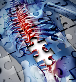 Samopomoc pri kronicni bolecini slovenj gradec koroska
