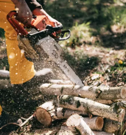 Servis motornih kos osrednja slovenija
