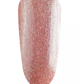 Tecaji podaljsevanja nohtov podravska