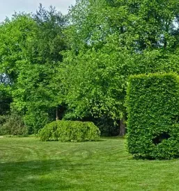 Urejanje okolice in vzdrzevanje zelenih povrsin pomurje