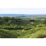 Mulčenje brežin, Matjaž Korenjak s.p.