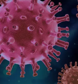 Samoplacniski hitri antigenski test vrhnika