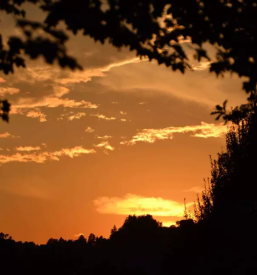 Ugodno fotografiranje savinjska