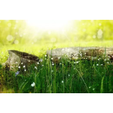 Jernej Kastelic s.p.