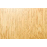 VIDA MEGLIČ - NOSILKA DOPOLNILNE DEJAVNOSTI NA KMETIJI