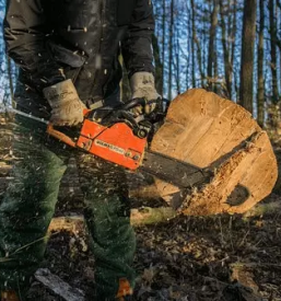 Gunstige forstdienstle stungen slowenien deutschland