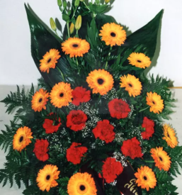 Pogrebna služba Podravje