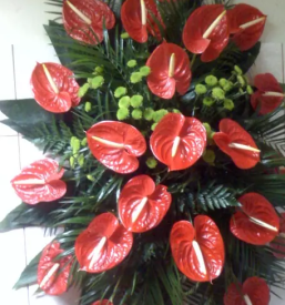 Pogrebne storitve Slovenska Bistrica