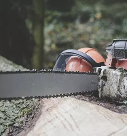 Posek in spravilo lesa visinska dela dolenjska