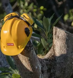 Posek in spravilo lesa visinska dela dolenjska