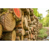 GOZDARSKE STORITVE JANEZ VOVKO S.P.