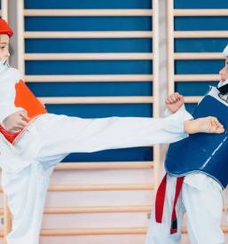 Taekwondo savinjska