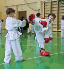 Taekwondo savinjska