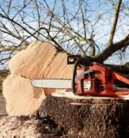 Ugoden servis motornih zag dolenjska