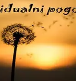 Ugodno druzinsko in partnersko svetovanje osrednja slovenija