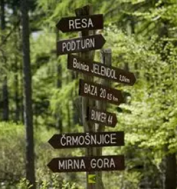 Obiščite čebelarski dom Podstenice, Kočevski Rog