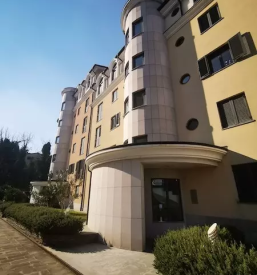 Dobra nepremicninska agentka slovenija