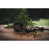 FRANC ŠPEHAR POSEK LESA